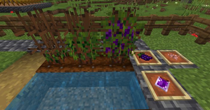 bum_Crops Addon (1.20, 1.19) - MCPE/Bedrock Harvest Mod 7