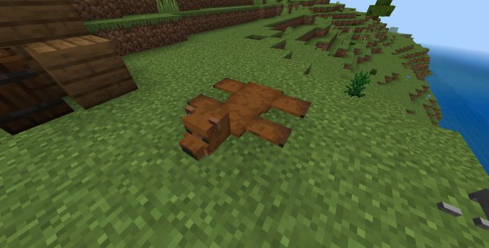 Rustic Nature Addon (1.19) - MCPE/Bedrock Mod 77