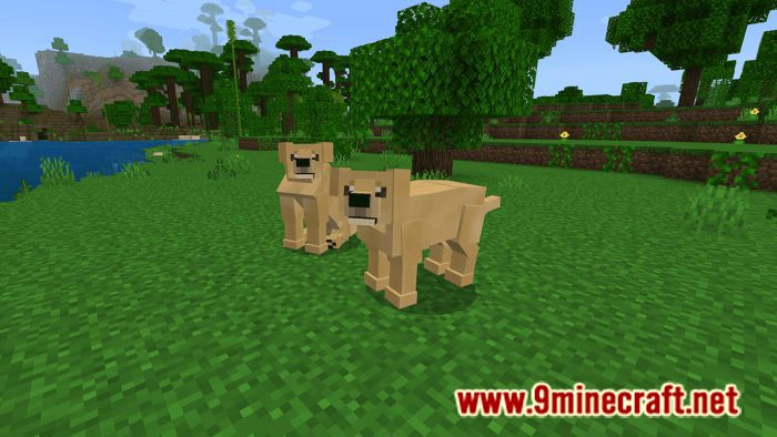 Dogs Plus Addon (1.19) for Minecraft PE/Bedrock 9