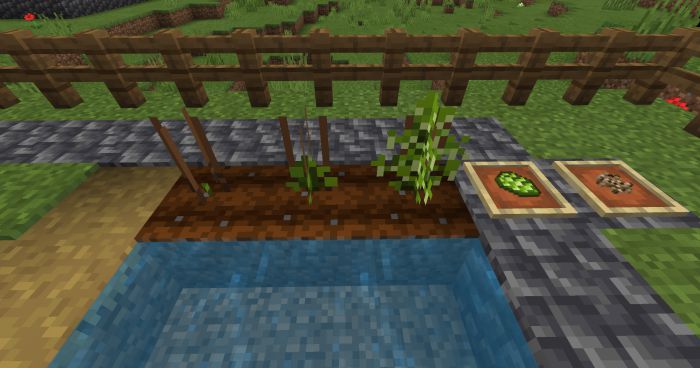 bum_Crops Addon (1.20, 1.19) - MCPE/Bedrock Harvest Mod 8