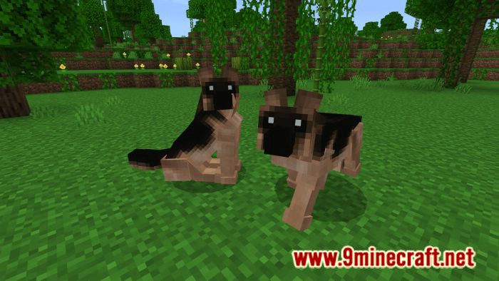 Dogs Plus Addon (1.19) for Minecraft PE/Bedrock 10