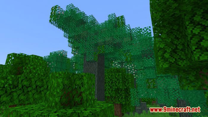 Forested Trees Addon (1.20, 1.19) - Minecraft PE/Bedrock Mod 10