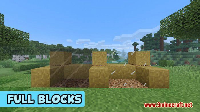 Full Blocks Connected Textures (1.19, 1.18) - MCPE/Bedrock Texture Pack 9