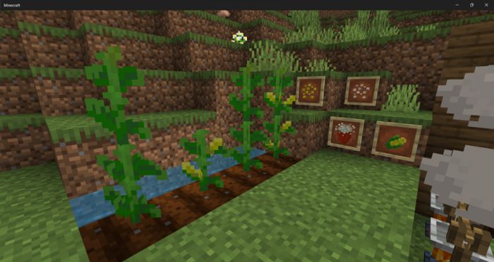 Rustic Nature Addon (1.19) - MCPE/Bedrock Mod 10