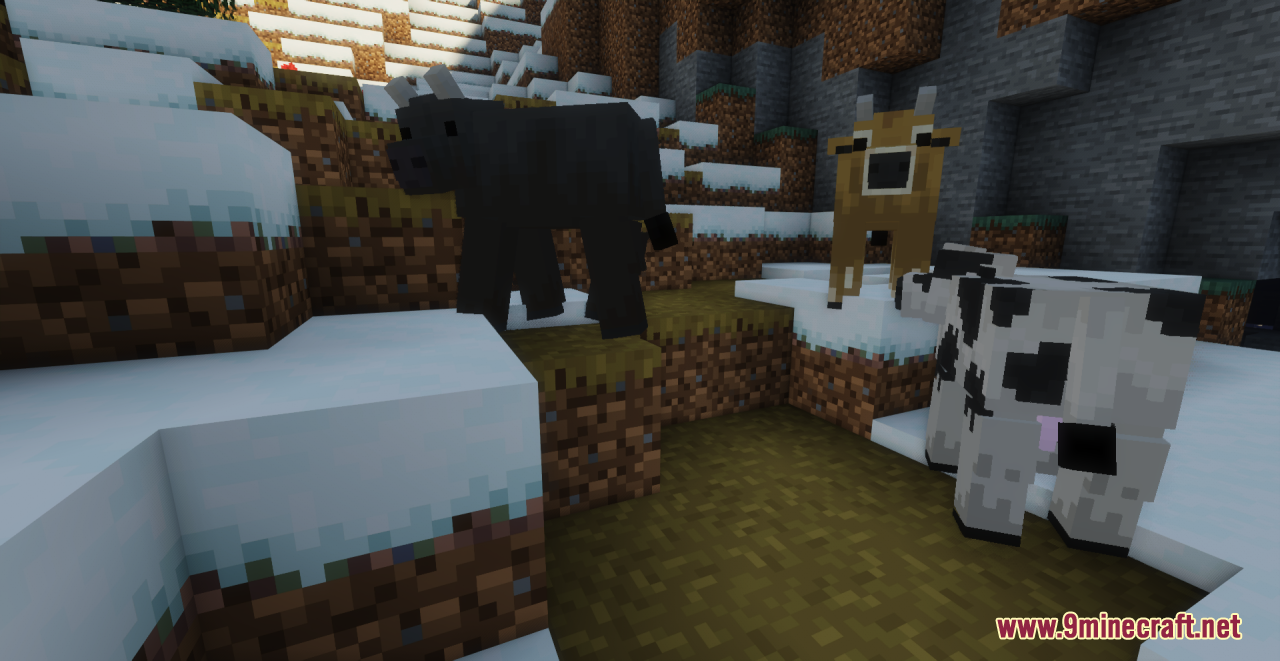 Better Cows Resource Pack (1.20.6, 1.20.1) - Texture Pack 7