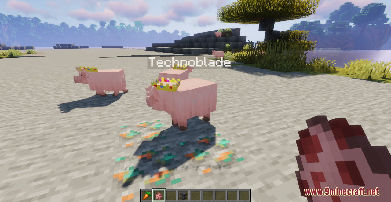 Better Pigs Resource Pack (1.20.6, 1.20.1) - Texture Pack 5