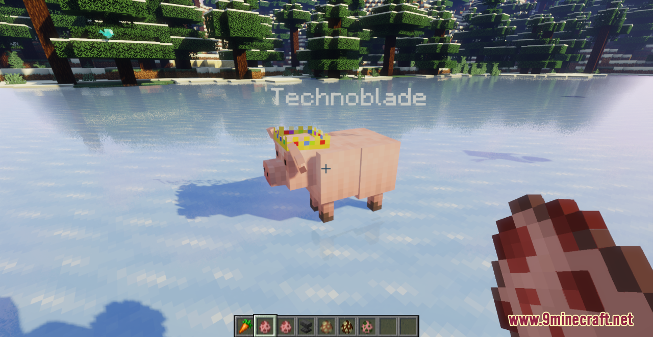 Better Pigs Resource Pack (1.20.6, 1.20.1) - Texture Pack 8