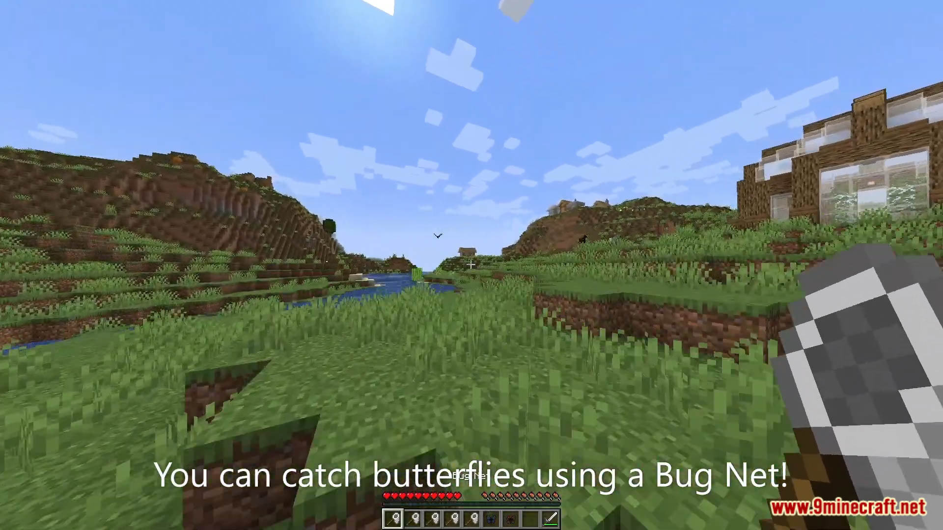 Butterflies Data Pack (1.19.3, 1.18.2) - Butterflies In Minecraft! 5