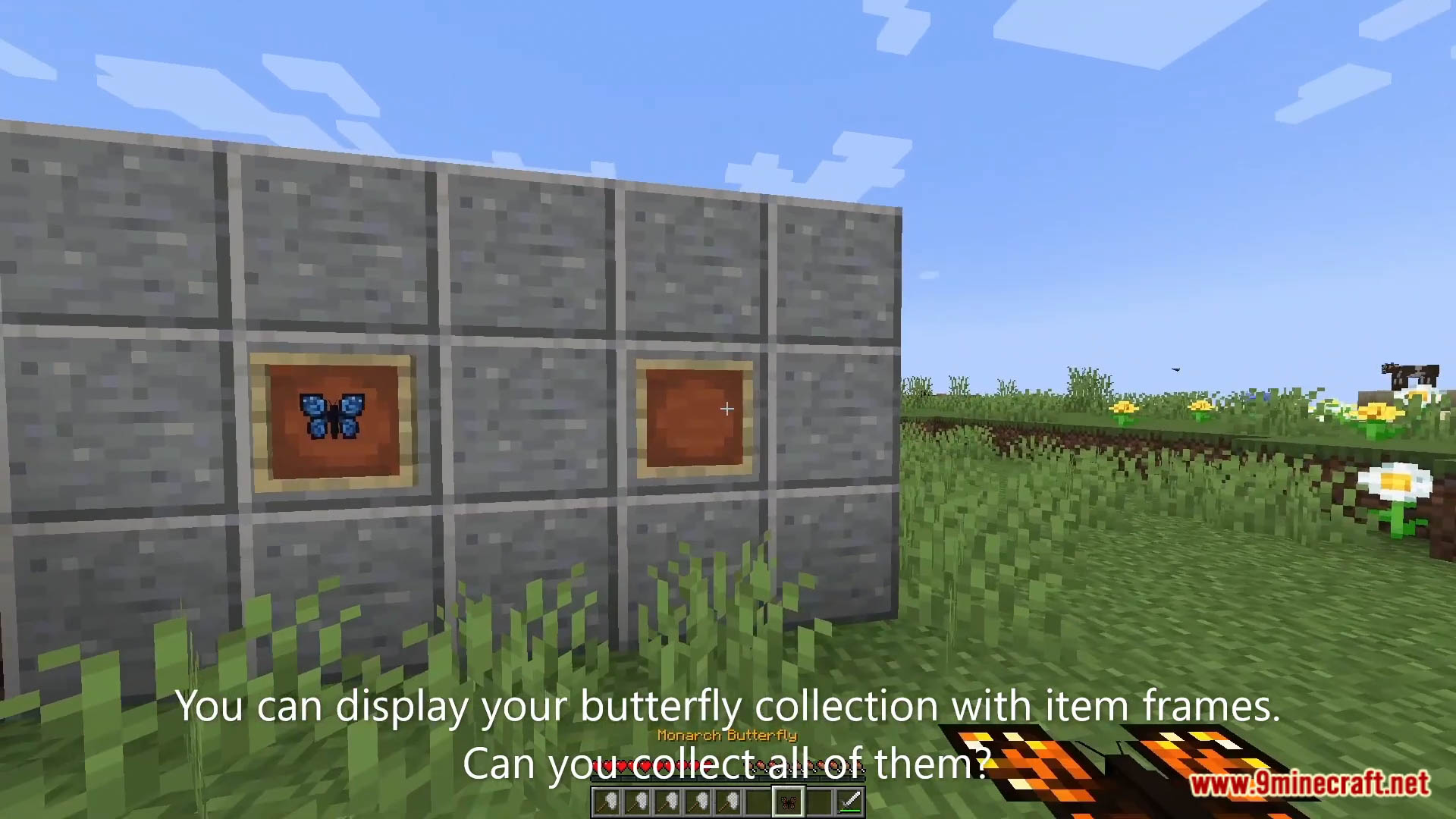 Butterflies Data Pack (1.19.3, 1.18.2) - Butterflies In Minecraft! 2