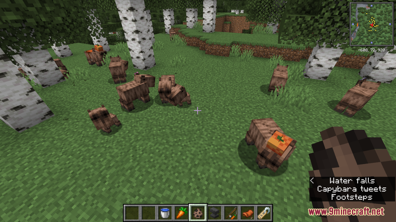 Capybara Resource Pack (1.20.4, 1.19.4) - Texture Pack 13