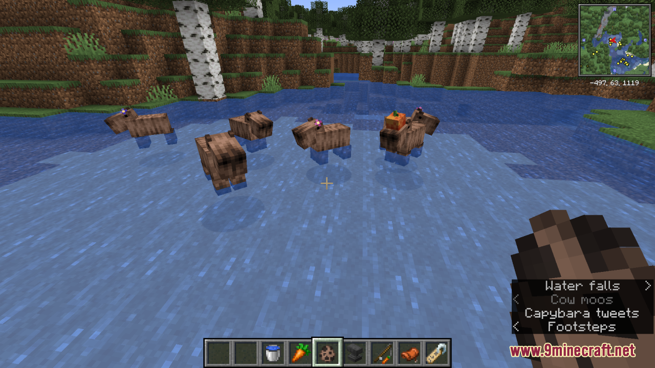 Capybara Resource Pack (1.20.4, 1.19.4) - Texture Pack 14