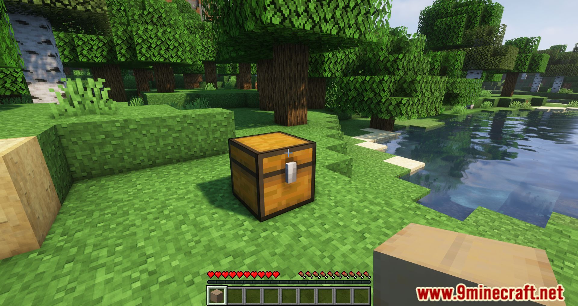 Cardboard Boxes Mod (1.20.4, 1.19.4) - Silly Storage 2