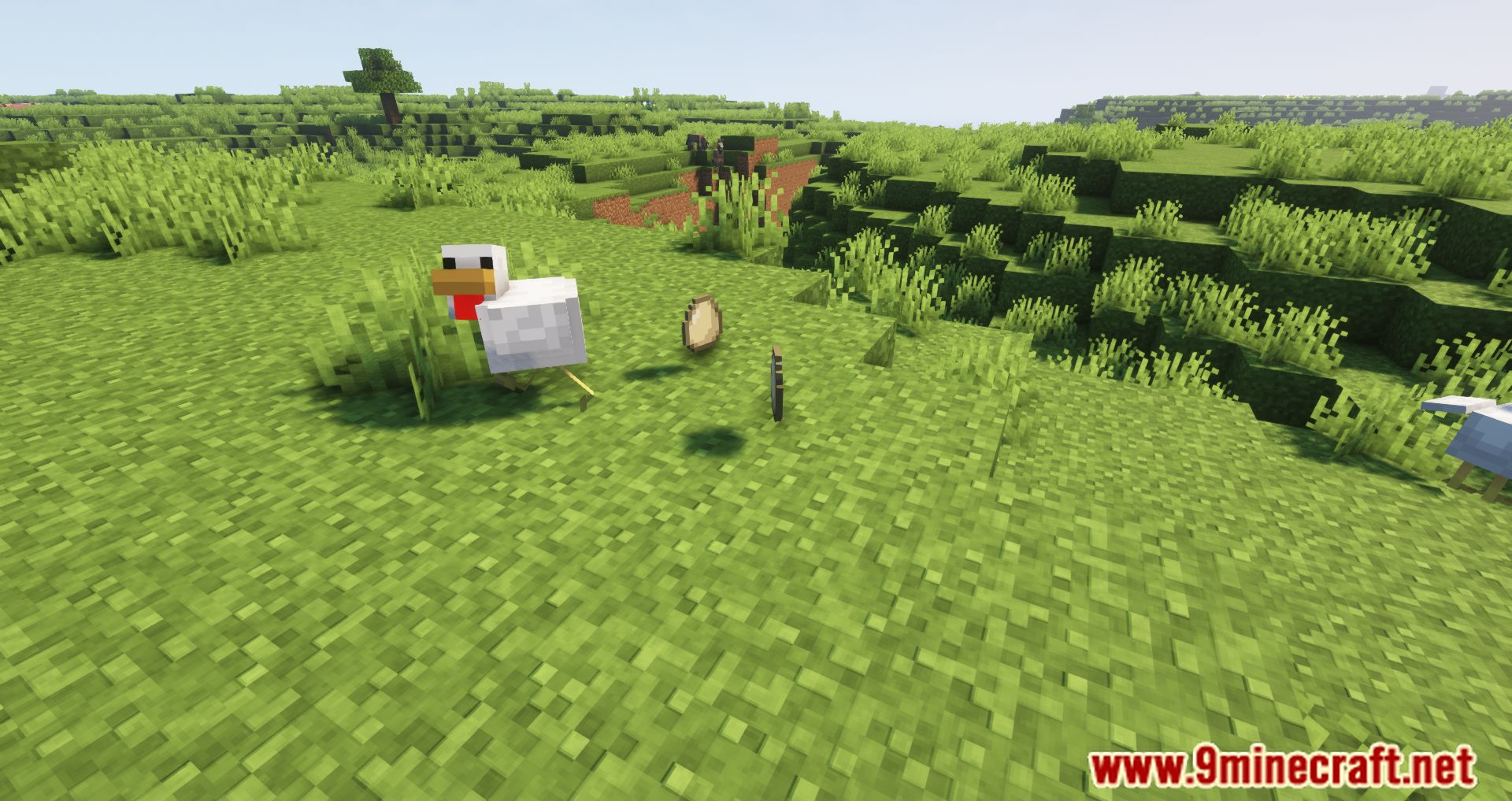 Despawning Eggs Hatch Mod (1.20.4, 1.19.4) - Chickens being born from Dropped Eggs 2