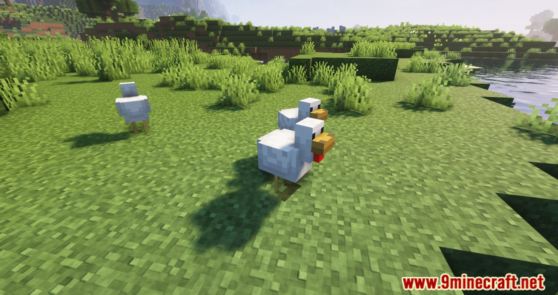 Despawning Eggs Hatch Mod (1.20.4, 1.19.4) - Chickens being born from Dropped Eggs 5