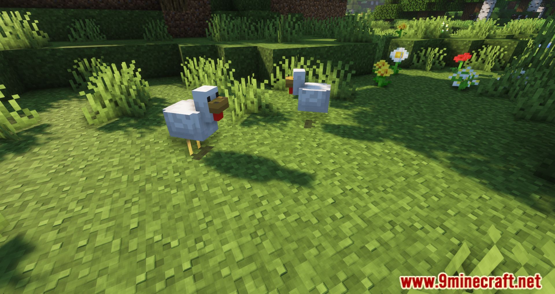 Despawning Eggs Hatch Mod (1.20.4, 1.19.4) - Chickens being born from Dropped Eggs 6