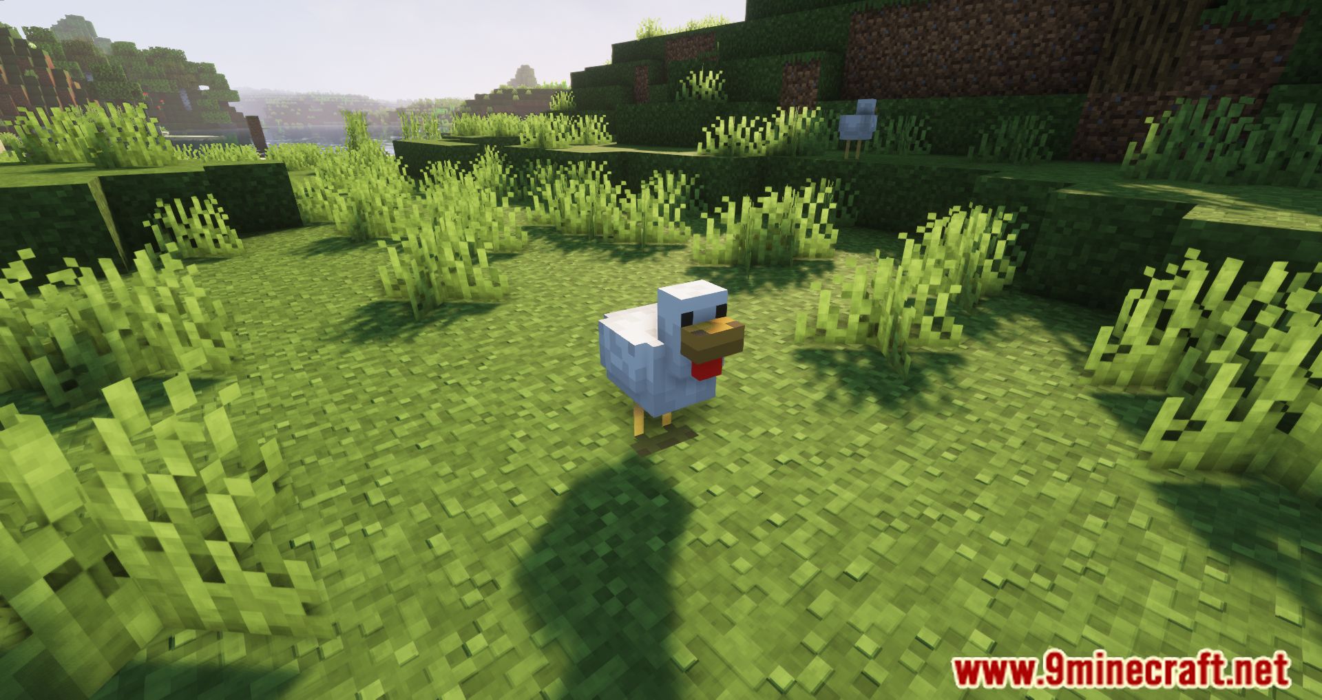 Despawning Eggs Hatch Mod (1.20.4, 1.19.4) - Chickens being born from Dropped Eggs 7