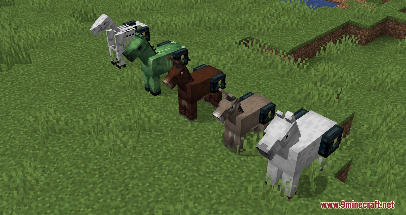 Ender Chested Mod (1.20.1, 1.19.4) - Horses Combine Ender Chests 4