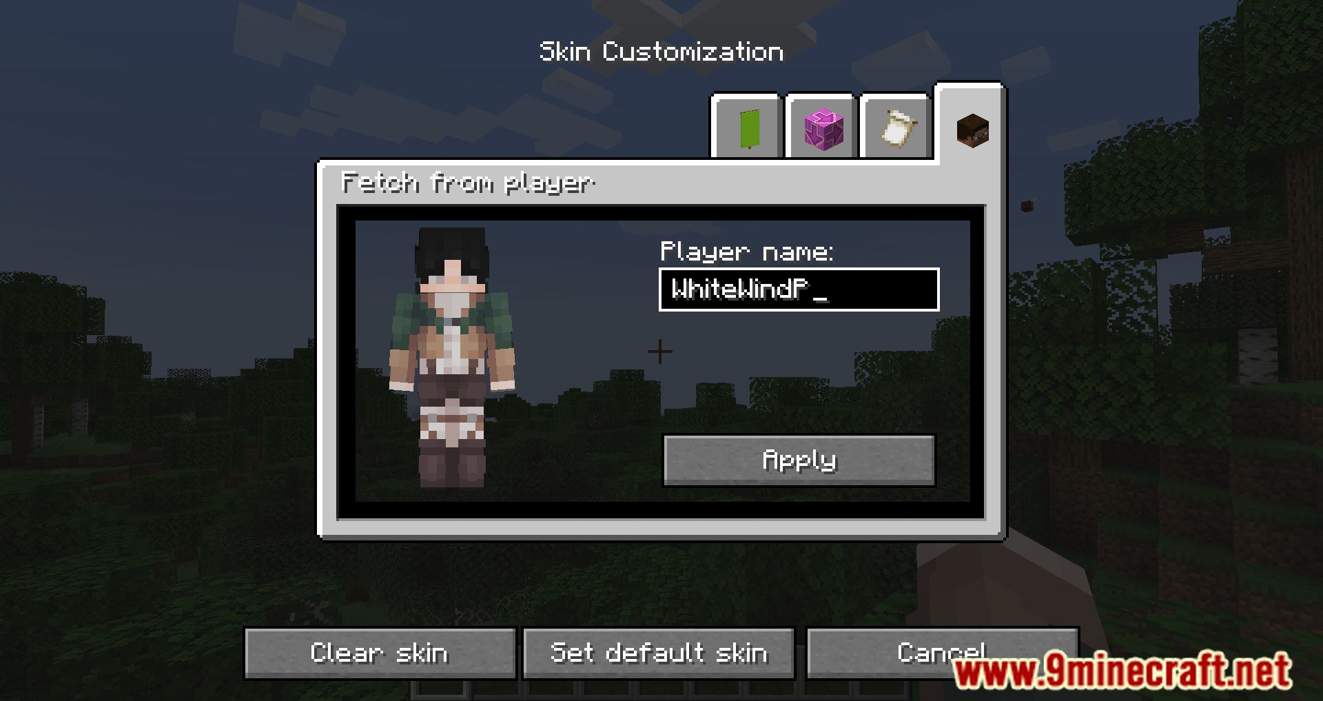 Fabric Tailor Mod (1.20.4, 1.19.4) - Changing Skin In-game 4