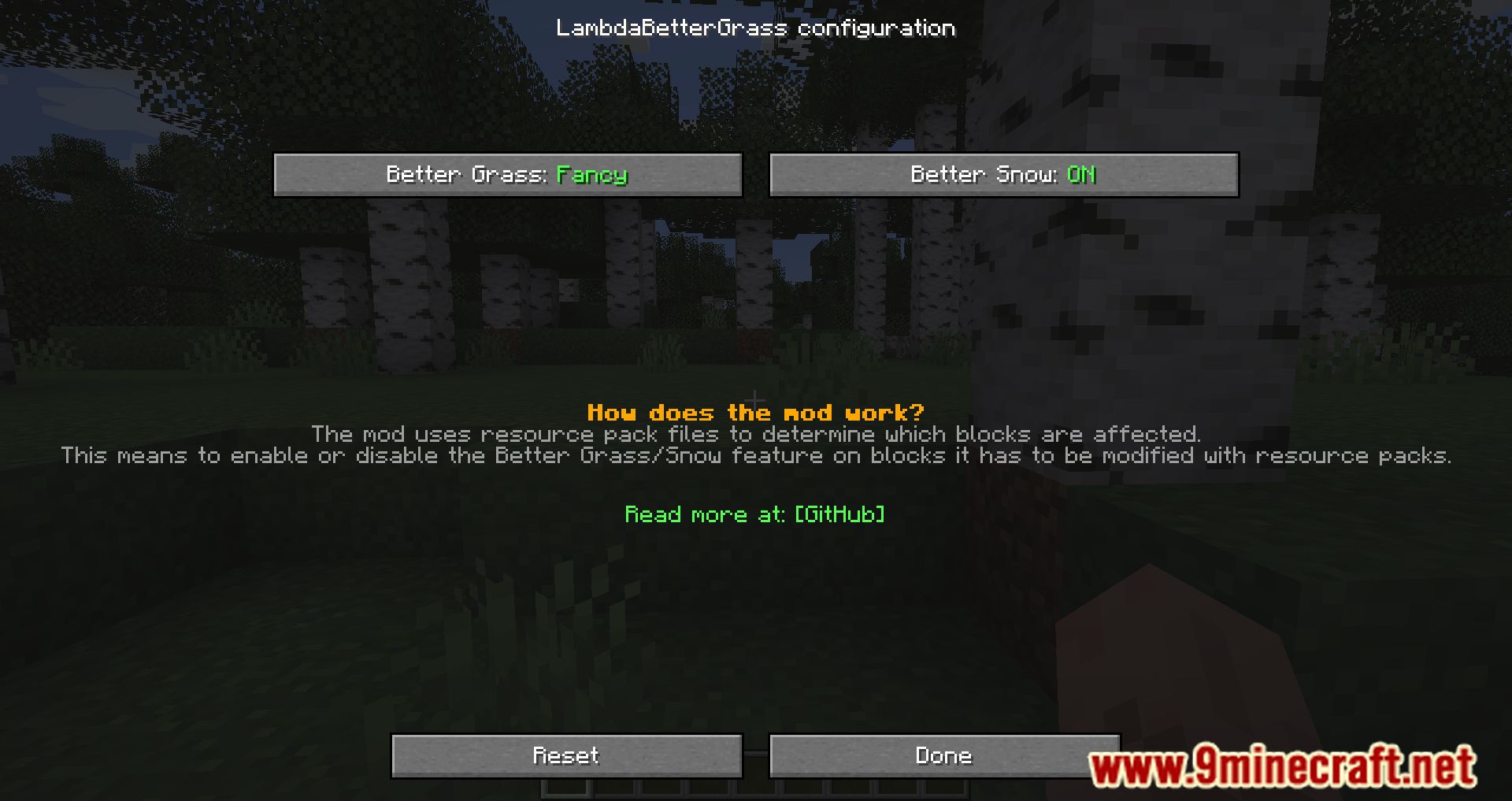 Lambda Better Grass Mod (1.20.1, 1.19.4) - Grass Focused Settings 2