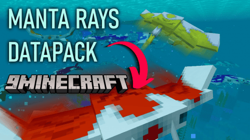 Manta Rays Data Pack (1.19.3, 1.18.2) – Colored Manta Rays In Minecraft! Thumbnail