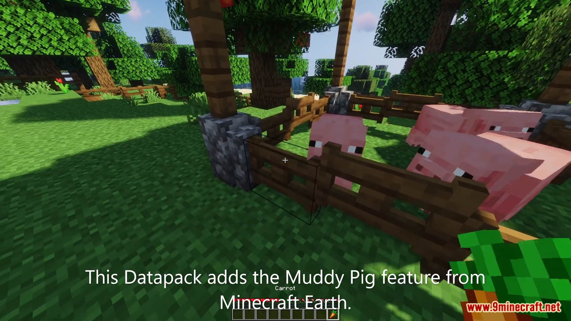 Muddy Pigs Data Pack (1.19.3, 1.19.2) - Muddy Pigs In Minecraft! 3