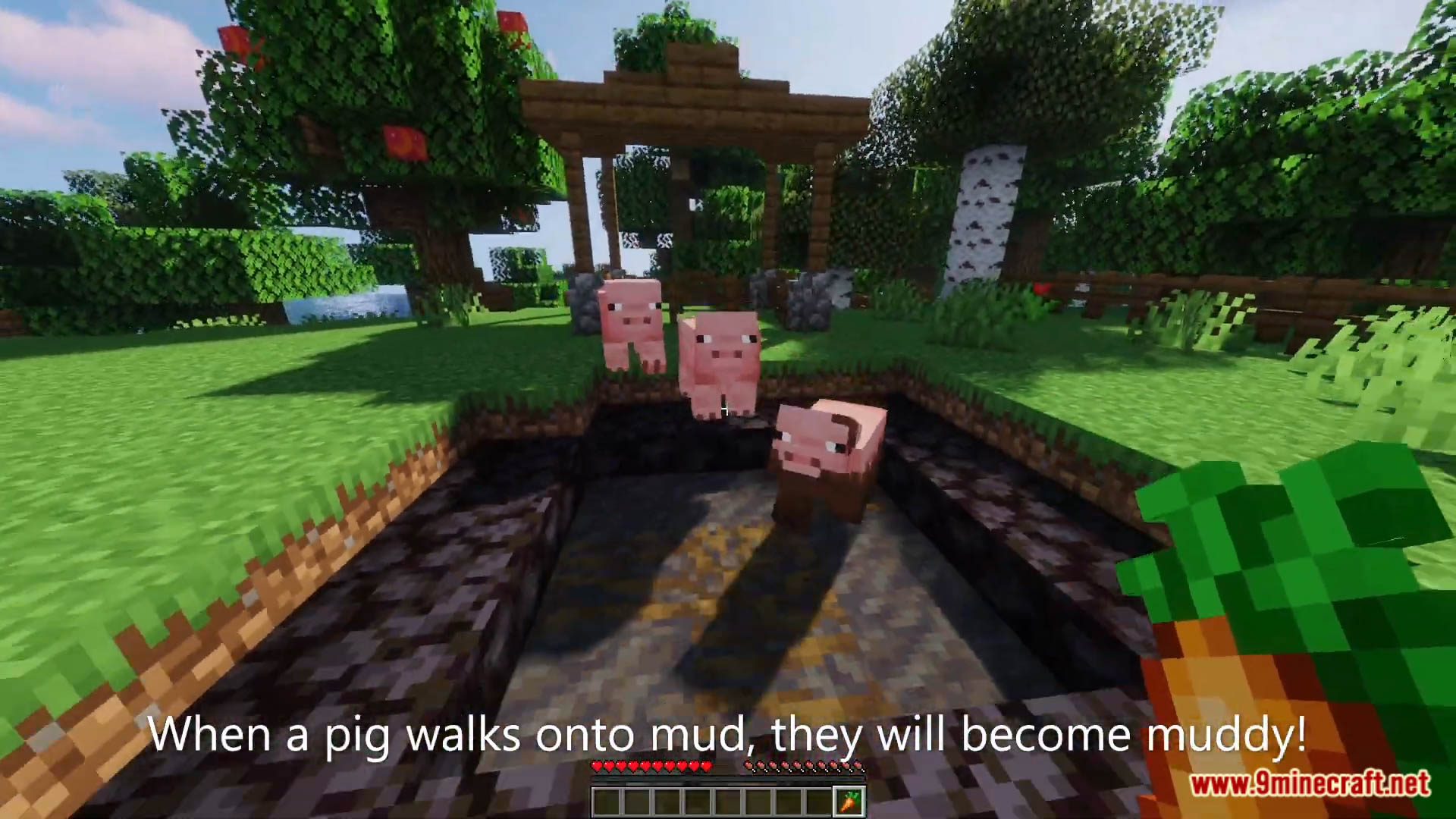 Muddy Pigs Data Pack (1.19.3, 1.19.2) - Muddy Pigs In Minecraft! 4