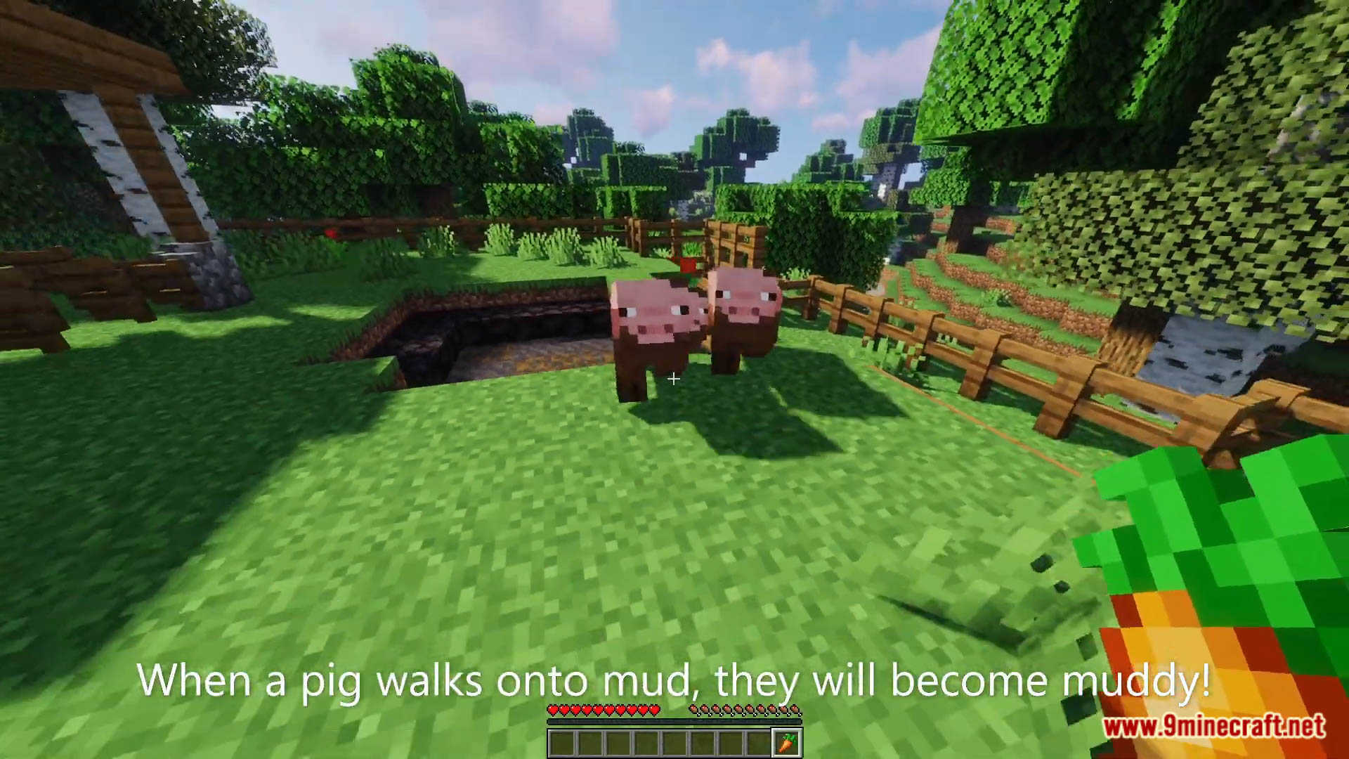 Muddy Pigs Data Pack (1.19.3, 1.19.2) - Muddy Pigs In Minecraft! 5