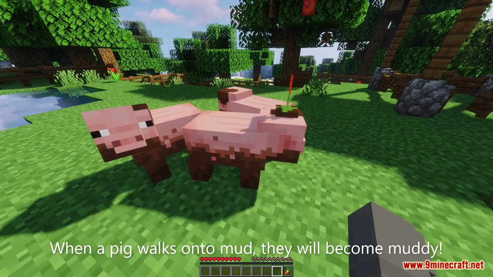 Muddy Pigs Data Pack (1.19.3, 1.19.2) - Muddy Pigs In Minecraft! 6