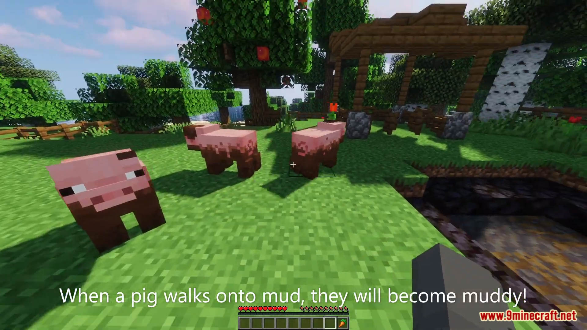 Muddy Pigs Data Pack (1.19.3, 1.19.2) - Muddy Pigs In Minecraft! 7