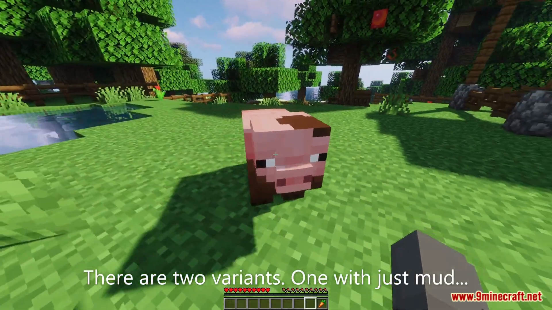 Muddy Pigs Data Pack (1.19.3, 1.19.2) - Muddy Pigs In Minecraft! 8