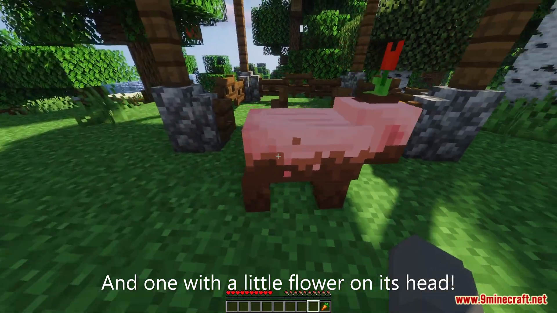 Muddy Pigs Data Pack (1.19.3, 1.19.2) - Muddy Pigs In Minecraft! 9