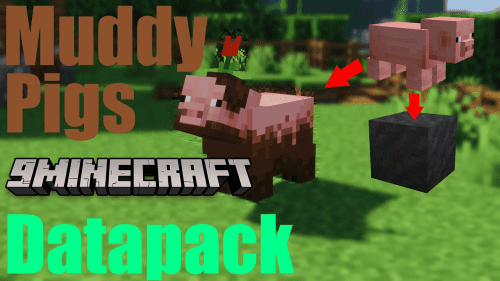 Muddy Pigs Data Pack (1.19.3, 1.19.2) – Muddy Pigs In Minecraft! Thumbnail