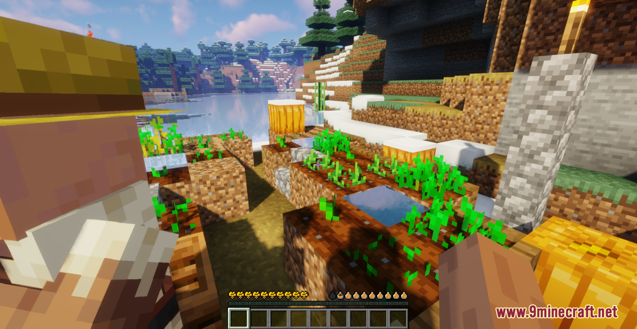 Origins Immersion: Bee Resource Pack (1.20.6, 1.20.1) - Texture Pack 11