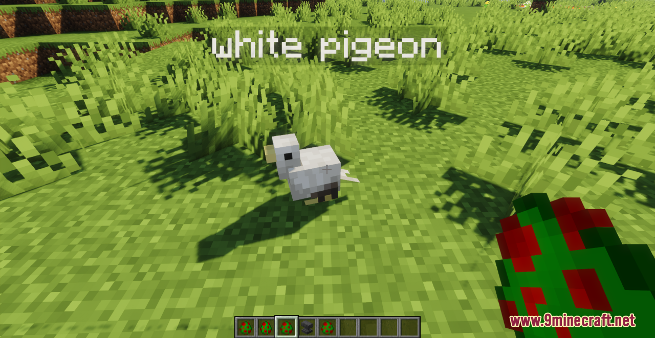 Pigeons Resource Pack (1.20.6, 1.20.1) - Texture Pack 13