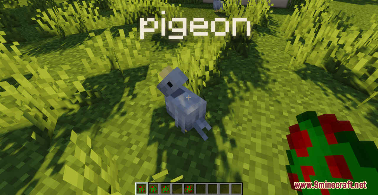 Pigeons Resource Pack (1.20.6, 1.20.1) - Texture Pack 5