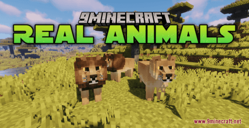 Real Animals Resource Pack (1.20.6, 1.20.1) – Texture Pack Thumbnail