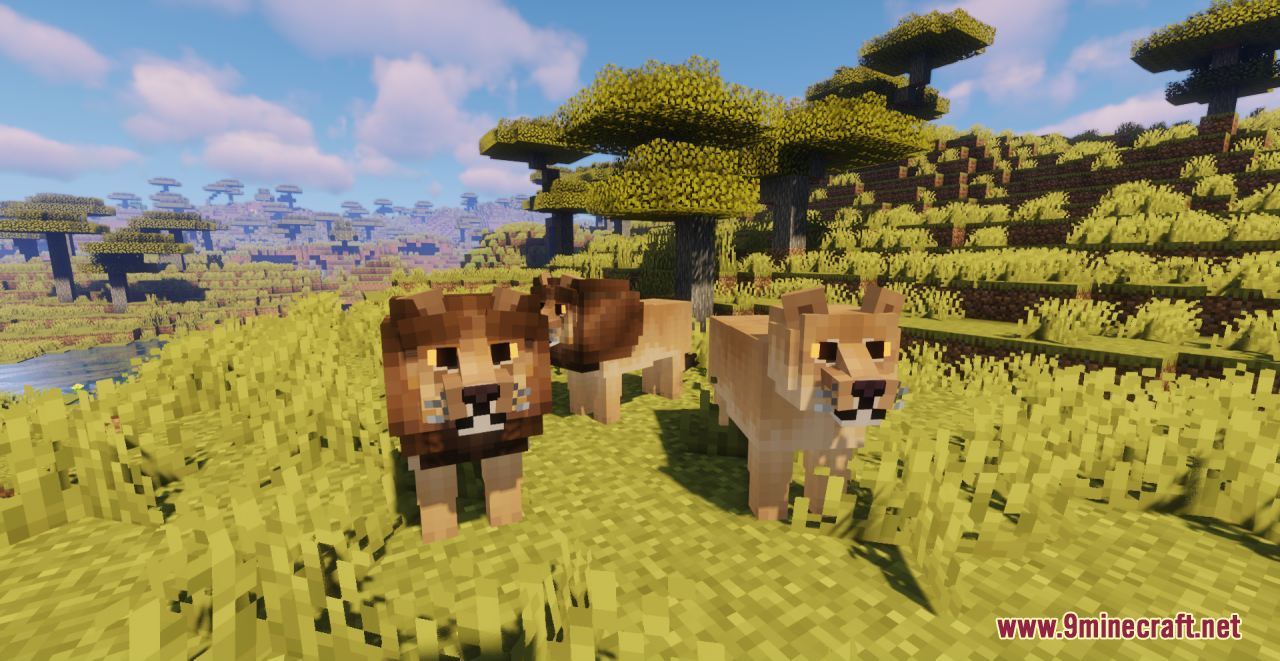 Real Animals Resource Pack (1.20.6, 1.20.1) - Texture Pack 6