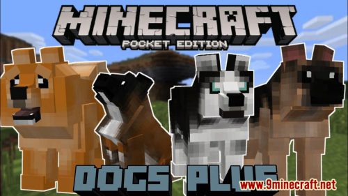 Dogs Plus Addon (1.19) for Minecraft PE/Bedrock Thumbnail