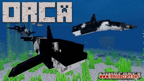 Orca / Killer Whale Addon (1.19, 1.18) – MCPE/Bedrock Mod Thumbnail