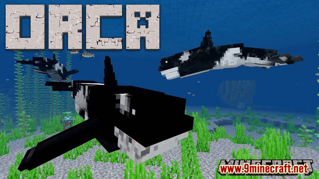 Orca / Killer Whale Addon (1.19, 1.18) - MCPE/Bedrock Mod 1