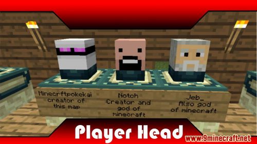 Player Heads Plugin (1.19.1, 1.18.2) – Bukkit, Spigot, Paper Thumbnail