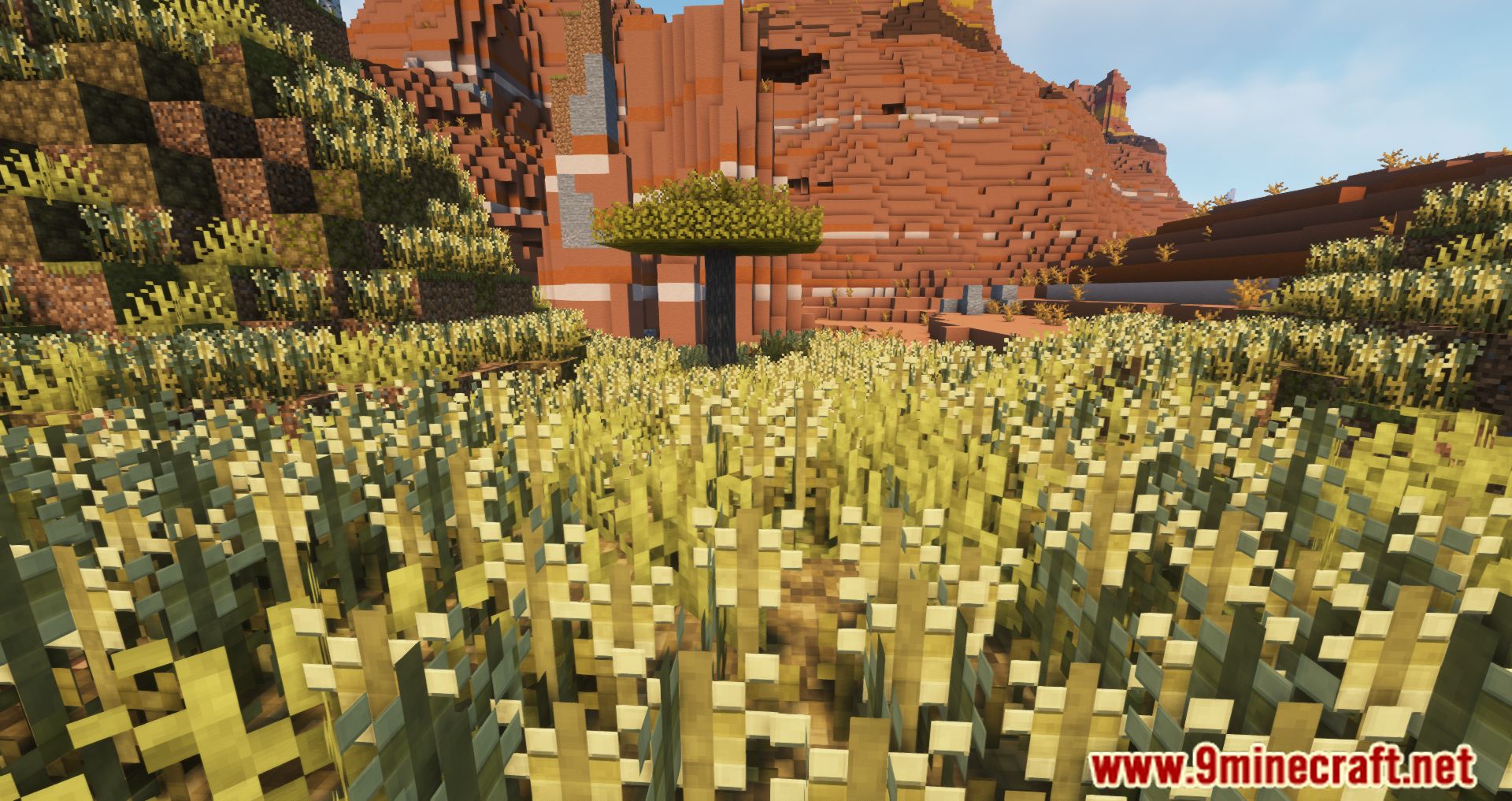 Wilds Mod (1.18.2, 1.16.5) - Biomes Improving with Wildlife 2