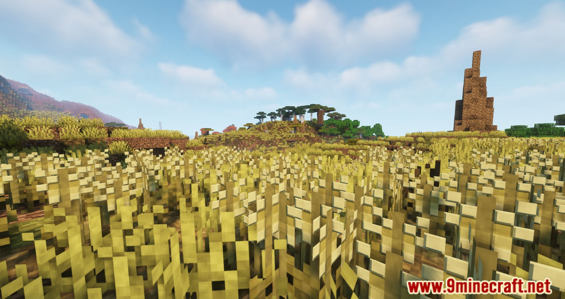 Wilds Mod (1.18.2, 1.16.5) - Biomes Improving with Wildlife 6