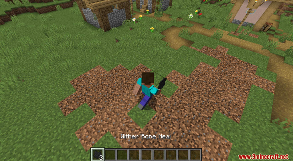 Wither Soldier Data Pack (1.19.3, 1.18.2) - New Hostile Creature 13