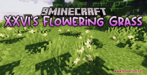 XXVI’s Flowering Grass Resource Pack (1.20.6, 1.20.1) – Texture Pack Thumbnail