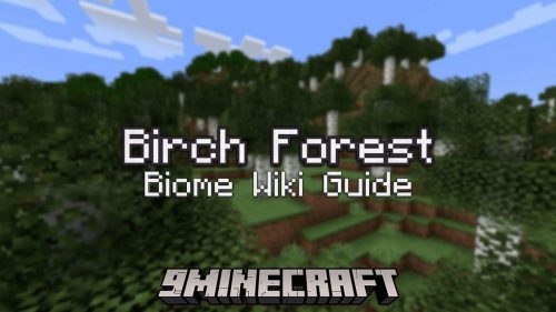 Birch Forest Biome – Wiki Guide Thumbnail