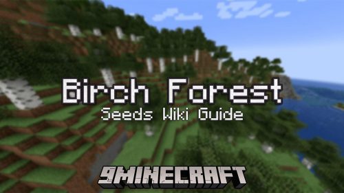 Birch Forest Seeds – Wiki Guide Thumbnail