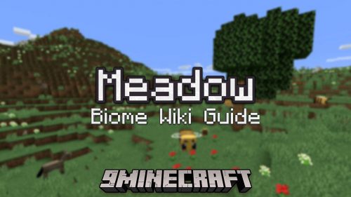 Meadow Biome – Wiki Guide Thumbnail