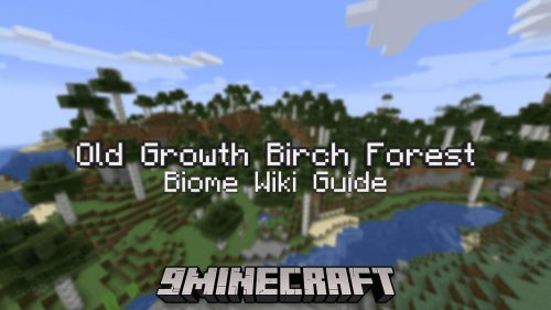Old Growth Birch Forest Biome – Wiki Guide Thumbnail
