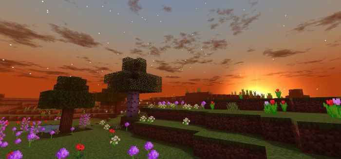 Spectrum Shader (1.18) - MCPE Realistic Graphics 2